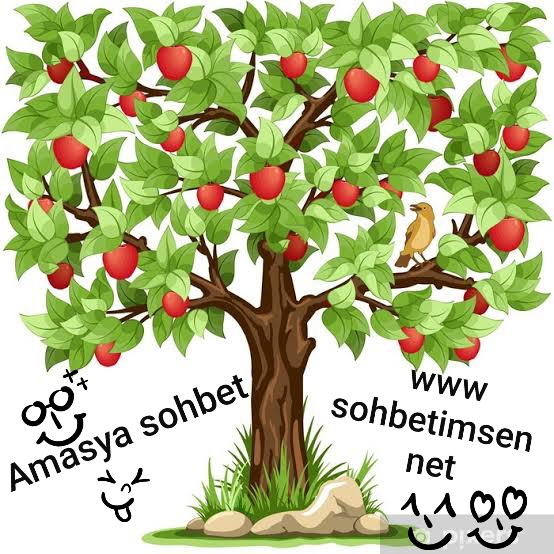 Amasya Sohbet