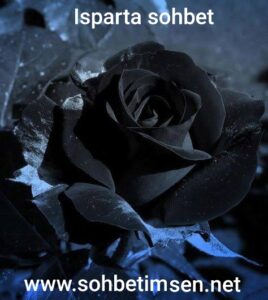 Isparta Sohbet