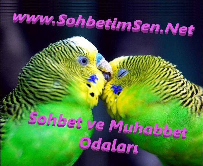 Sohbet Ve Muhabbet Odalari
