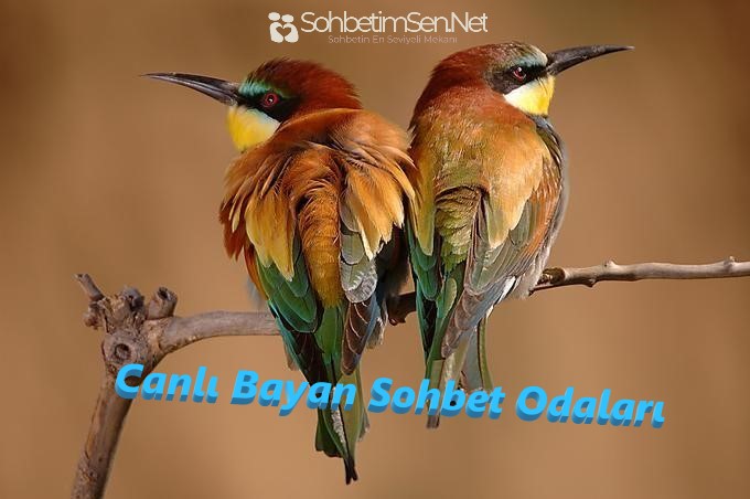 Canlı Bayan Sohbet Odaları