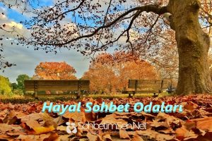 Hayal Sohbet Odaları