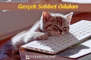 Gerçek Sohbet Odaları