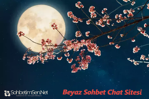 Beyaz Sohbet Chat Sitesi