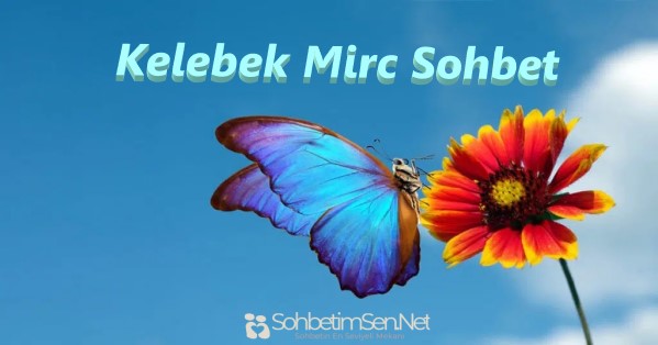 Kelebek Mirc Sohbet