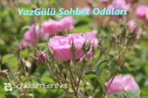 YazGülü Sohbet Odaları