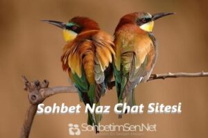 Sohbet Naz Chat Sitesi