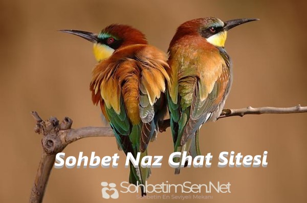 Sohbet Naz Chat Sitesi