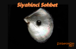 Siyahinci Sohbet