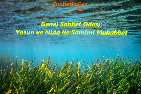 Genel Sohbet Odası